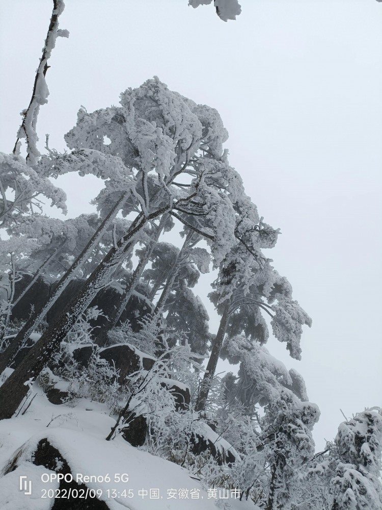 黄山欢迎您