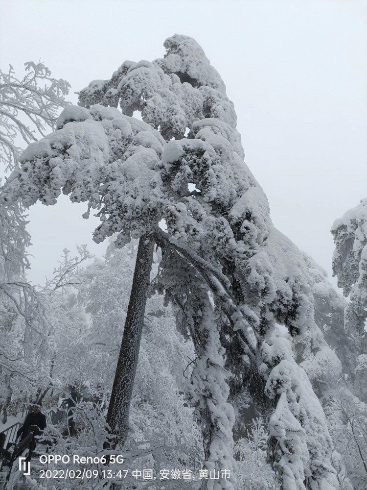 黄山欢迎您