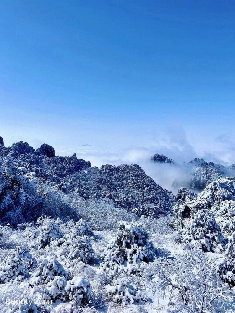 黄山欢迎您