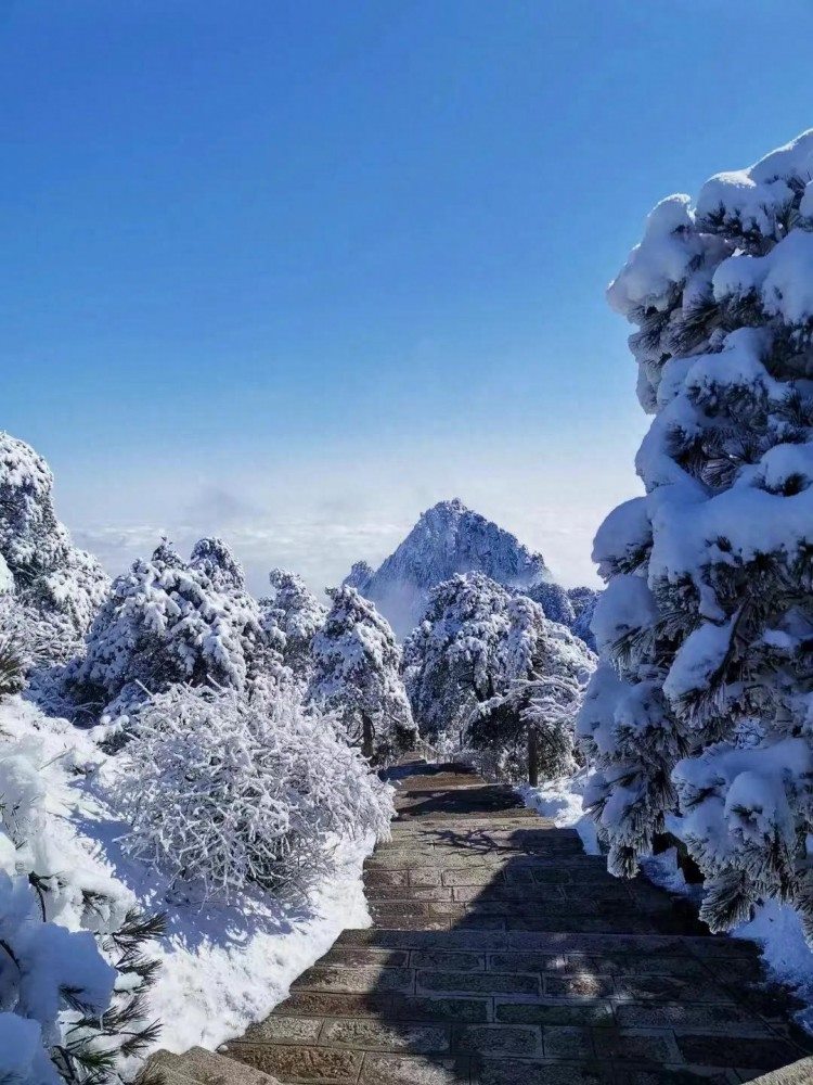 黄山欢迎您