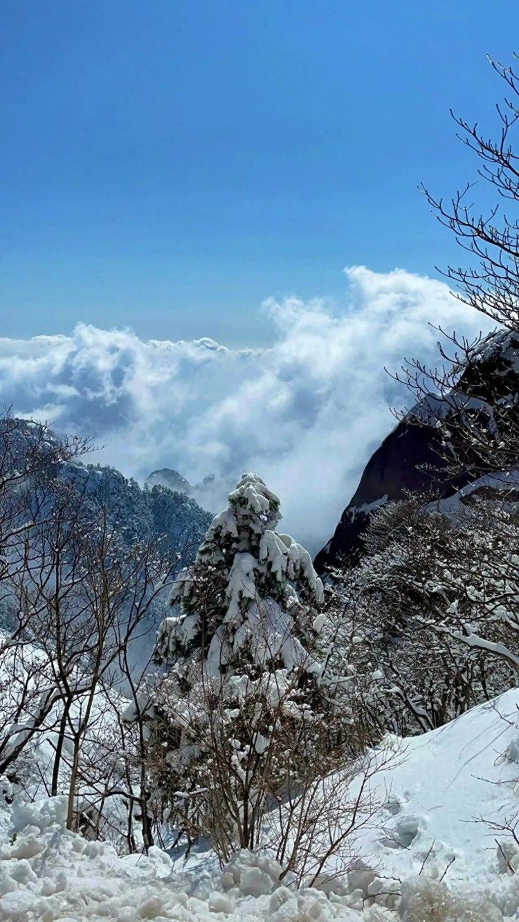 黄山欢迎您