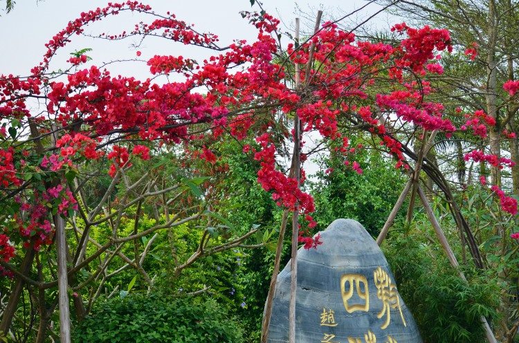 天造地设宜居城市防城港之——北方人在防城港生活的舒适模式（2