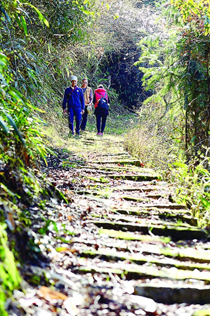 政和：全域旅游活起来