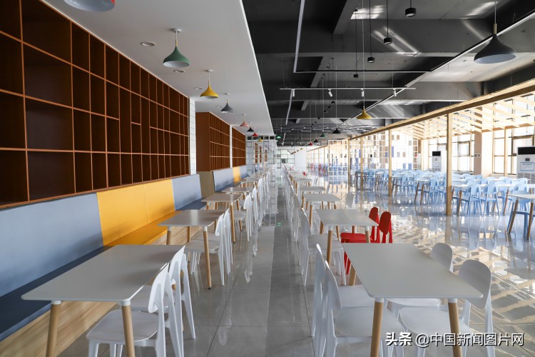 山东德州：高校食堂华丽变身网红餐厅文艺范十足