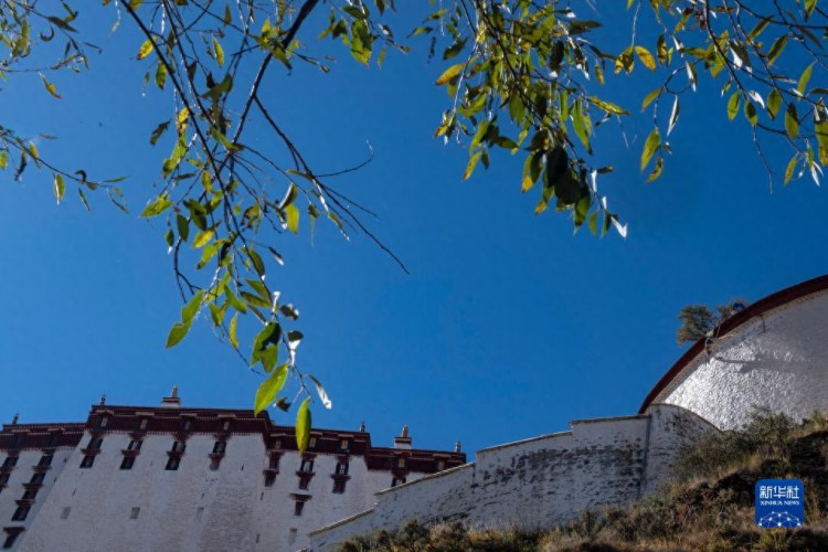 西藏布达拉宫年度换新装图