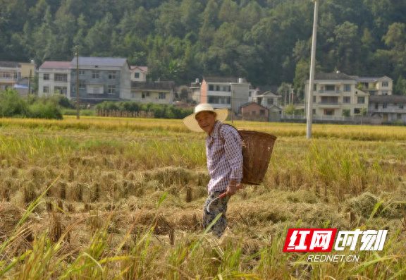 缕缕竹丝编出致富梦