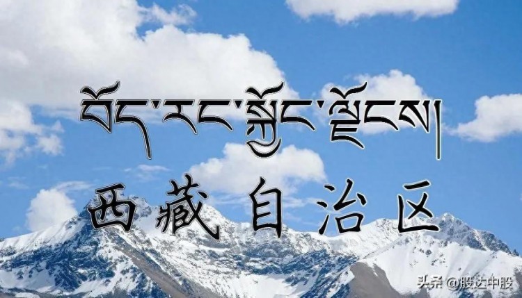 西藏自治区国资委国有资本投资机构持股控股上市公司